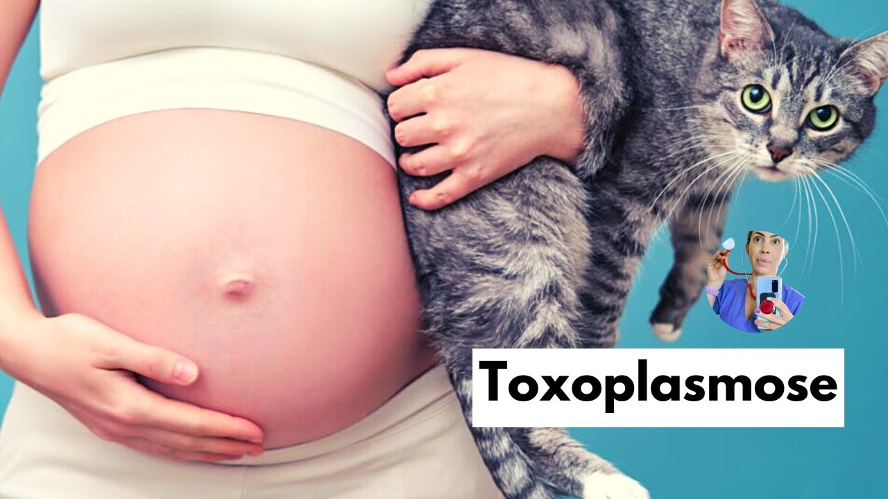 Toxoplasmose: ciclo biológico, vias de transmissão, sinais clínicos e diagnóstico