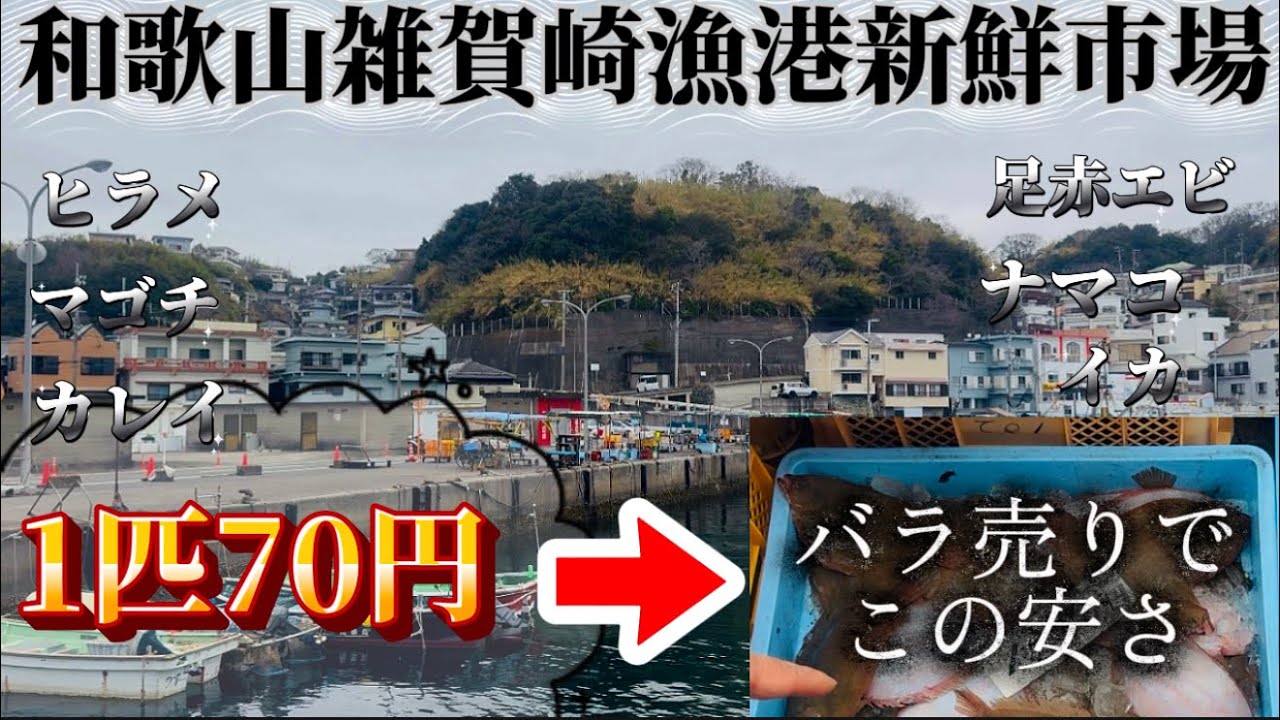 【和歌山雑賀崎漁港】コスパ最強‼️一枚７０円でお刺身もできるこの魚‼️煮てもよし✨焼いてもよし✨揚げてもよし✨スゴィ‼️