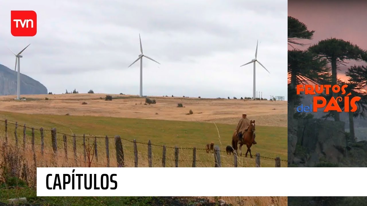 Coyhaique | Frutos del país