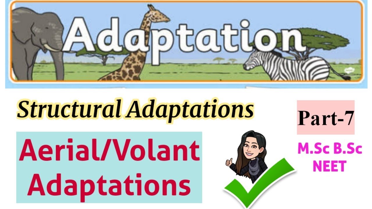 Structural adaptations- Aerial or Volant  adaptations- Types of Adaptations |part-7|M.Sc B.Sc