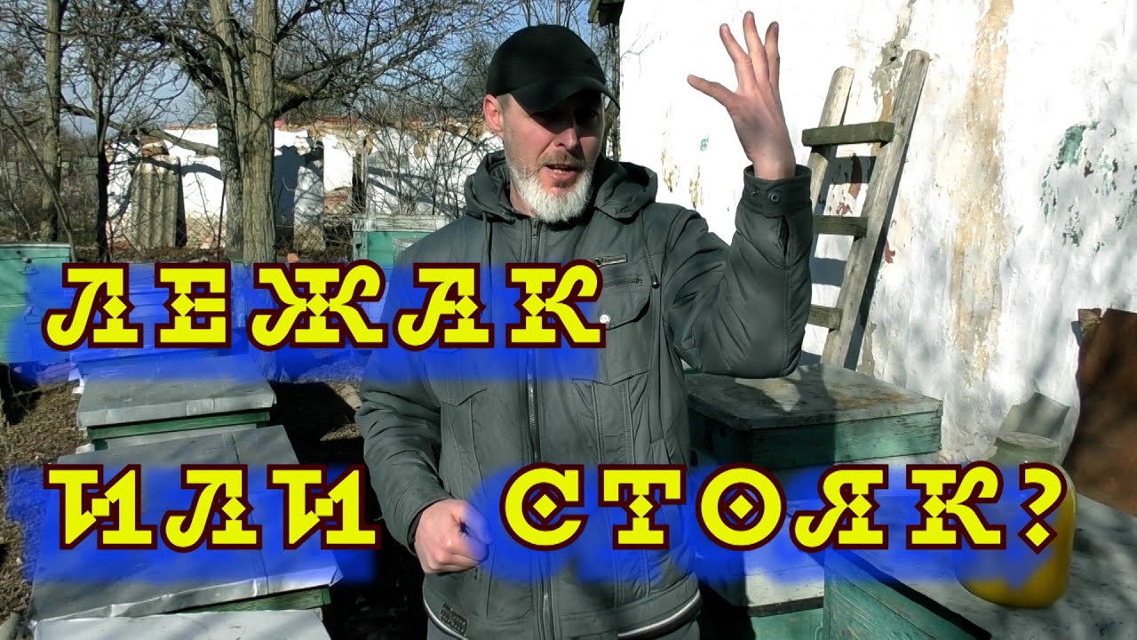 ЛЕЖАК ИЛИ СТОЯК?