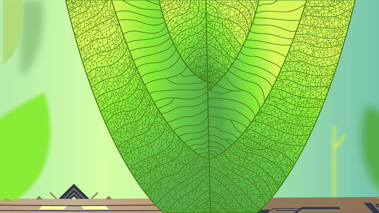Biomimicry - motion design