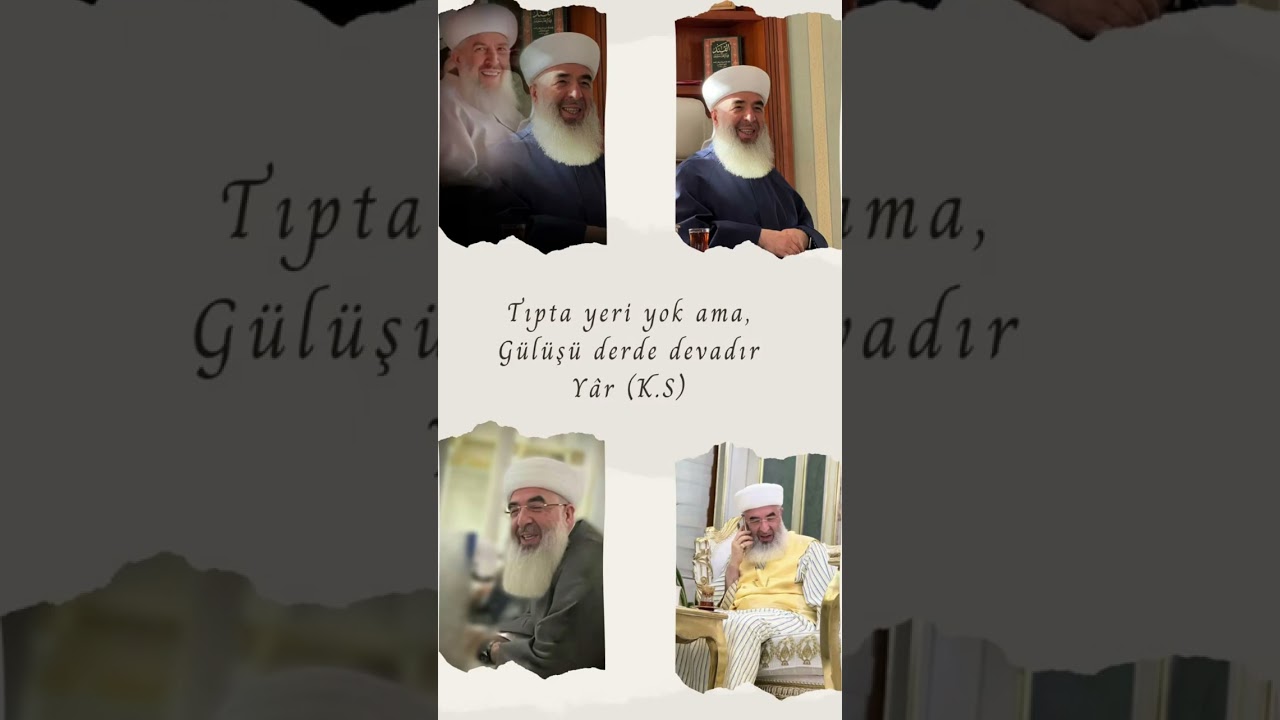 Gavs ı nizam ks