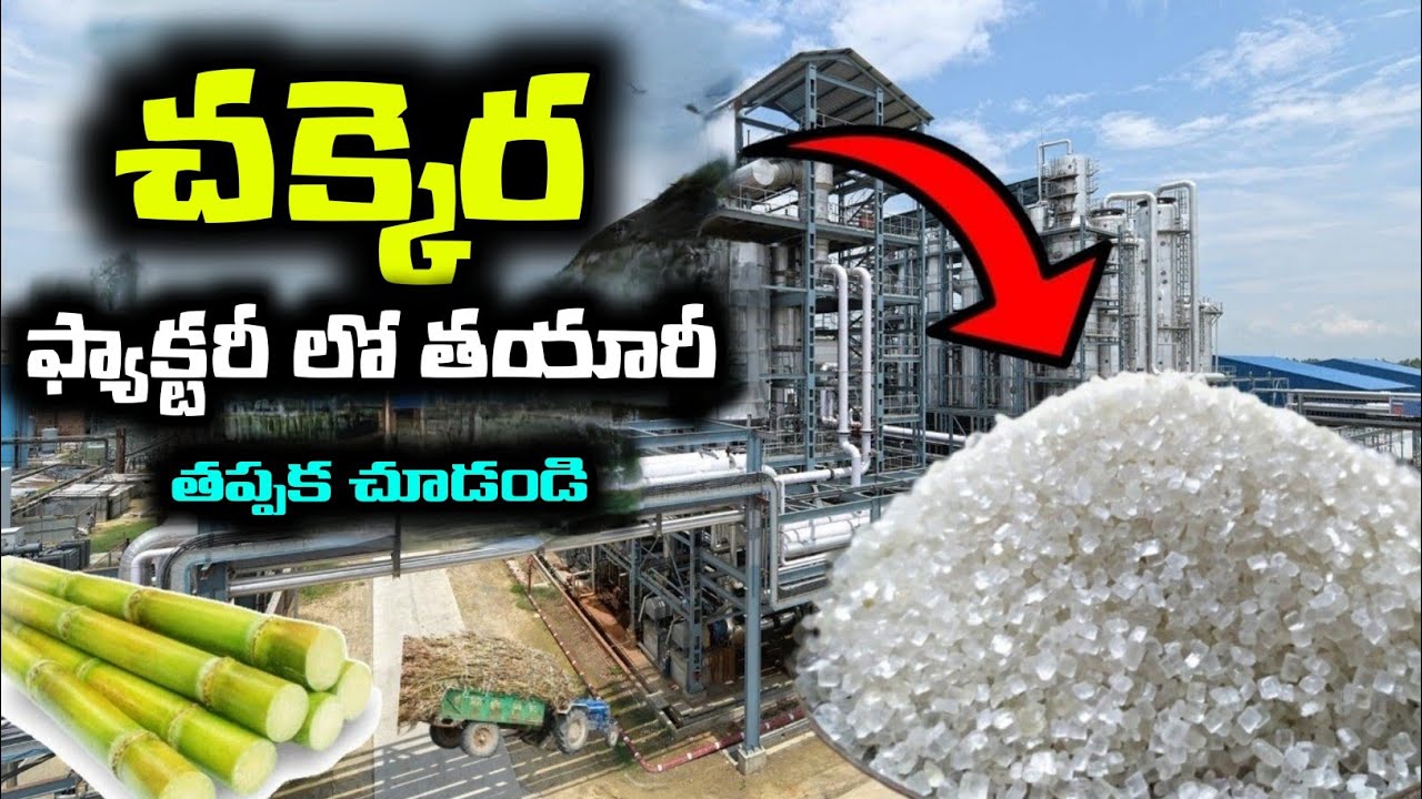 Sugar making process in factory| coconut oil make | factory made | BMC