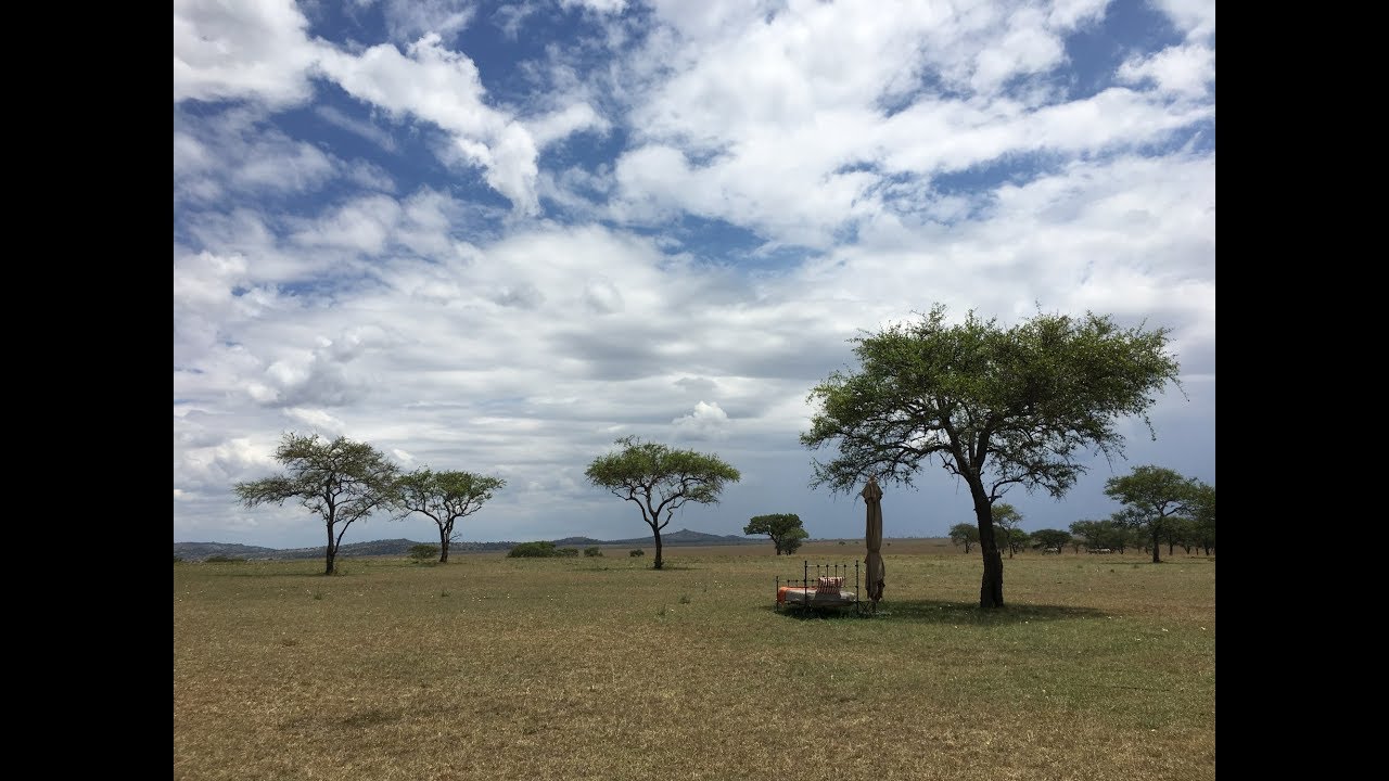 Singita Sabora Tented Camp Review, Serengeti