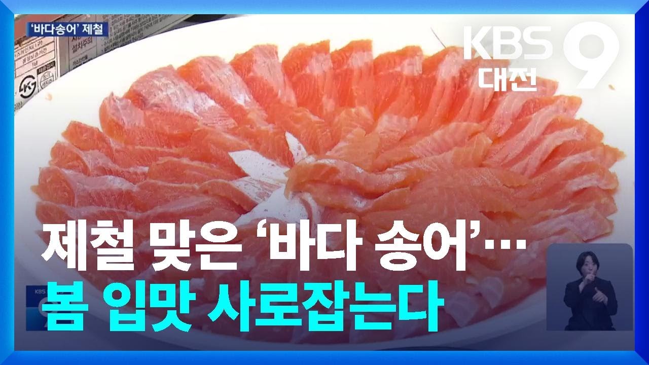 제철 맞은 &lsquo;바다 송어&rsquo;&hellip;봄 입맛 사로잡는다 / KBS  2026.04.13.