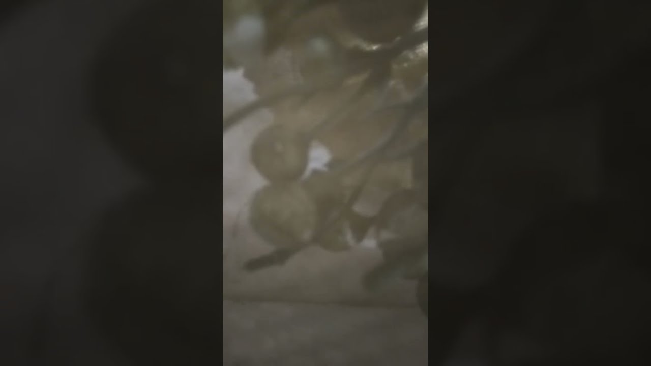تقبل الله منكم الصيام والقيام شاركونا حملة 1500!
