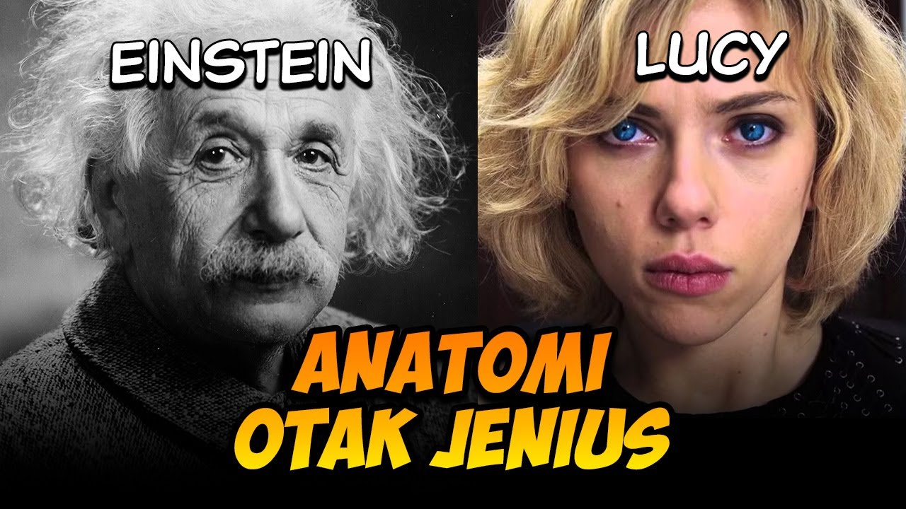 BENARKAH EINSTEIN MENGGUNAKAN KAPASITAS OTAK DI ATAS 10%??