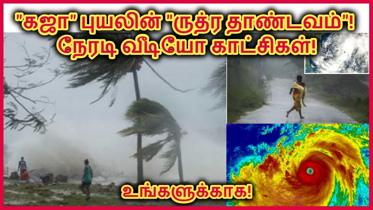 கஜா புயலின் ருத்ரதாண்டவம்! நேரடி வீடியோ காட்சிகள்! Gaja Cyclone live