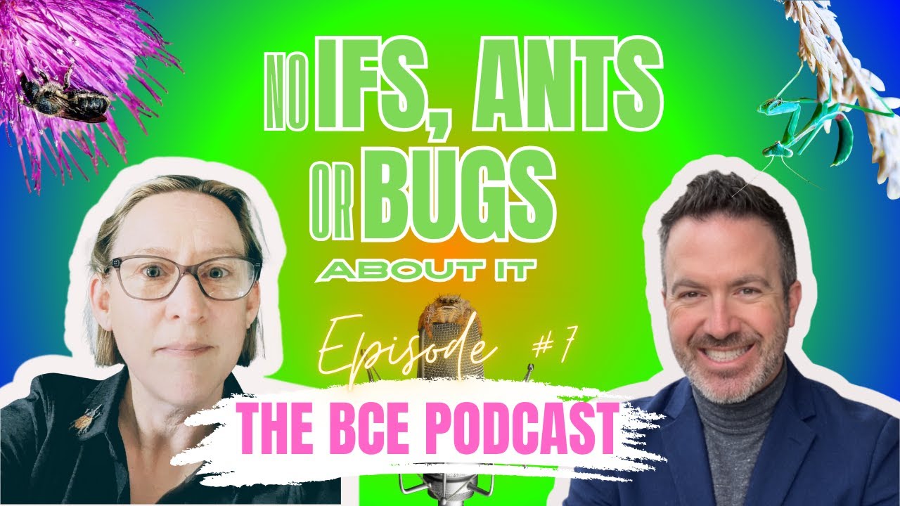 The BCE Podcast:  Episode #7 with Desiree Straubinger (BASF)