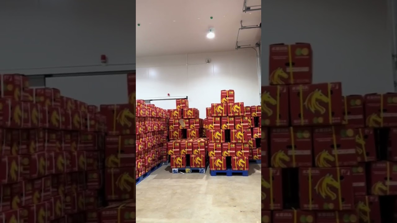 A large company in Vietnam, with vast durian orchards and a massive packing warehouse.
