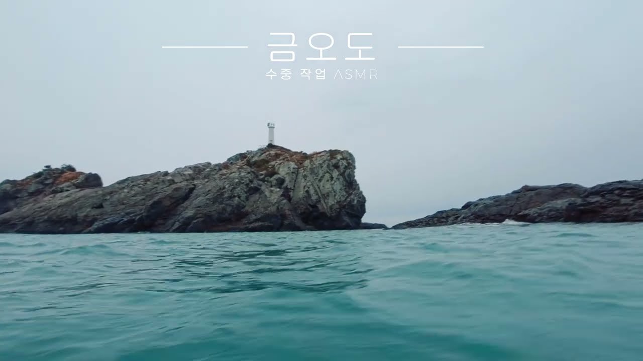 [ASMR] Saving the Blue Carbon: Scientific Diver at 5°C (8K) | 수온 5도, 잘피 서식지 조사