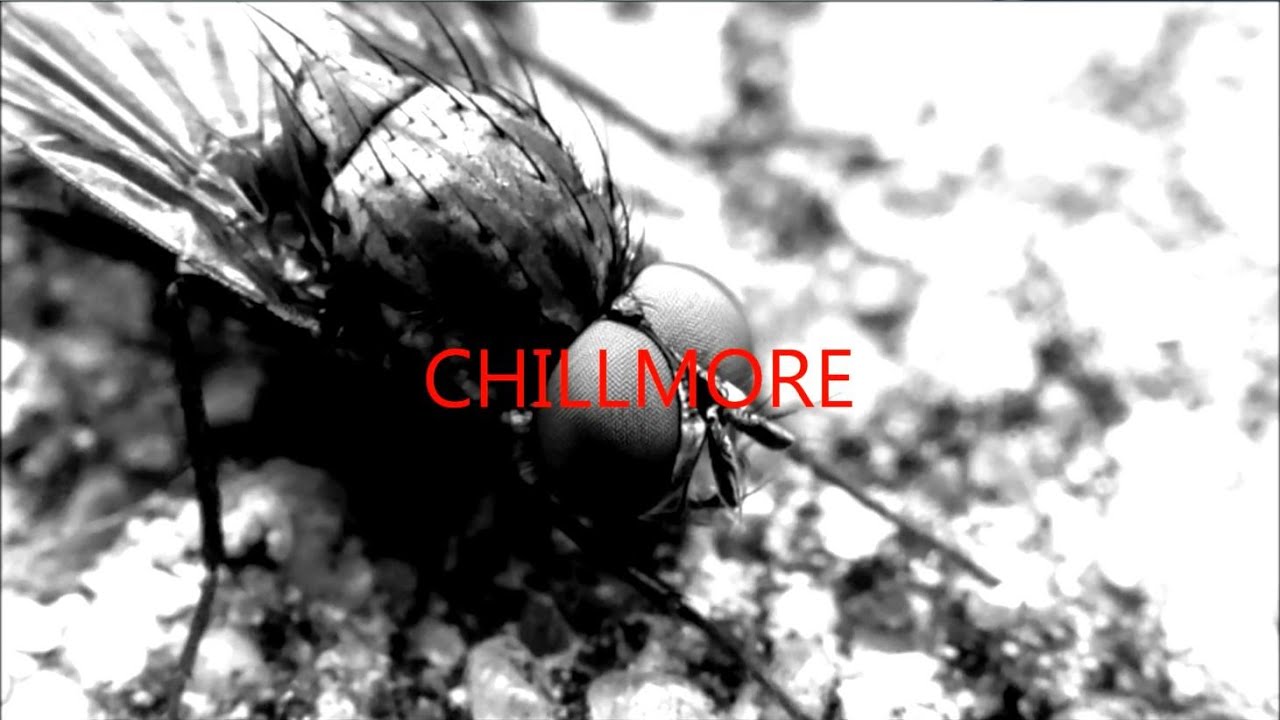 Chillmore - Richard Davey