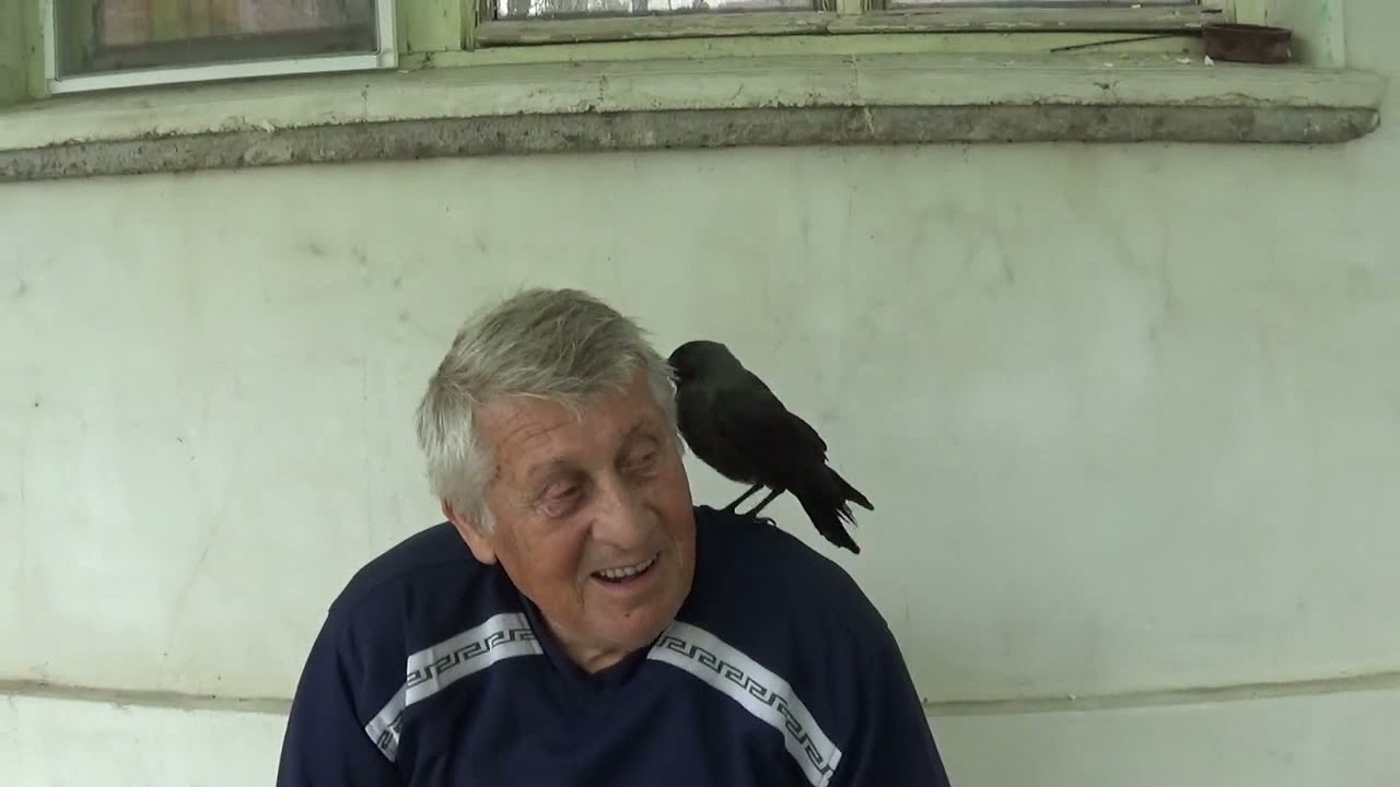 АТРАКЦИИТЕ НА ГАРВАНА ПЕЙО