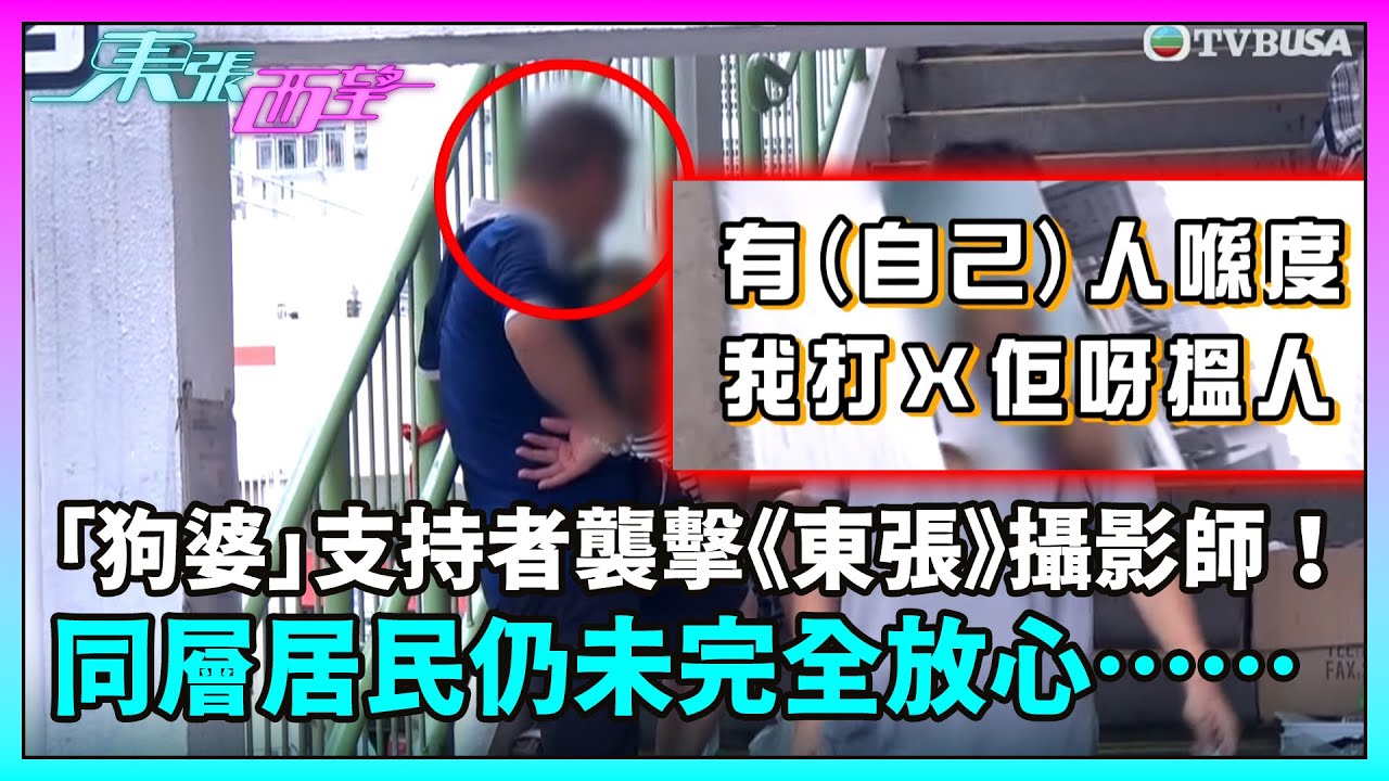 東張西望｜「狗婆」支持者發難襲擊《東張》攝影師！同層居民仍未完全放心⋯⋯｜TVBUSA｜民生