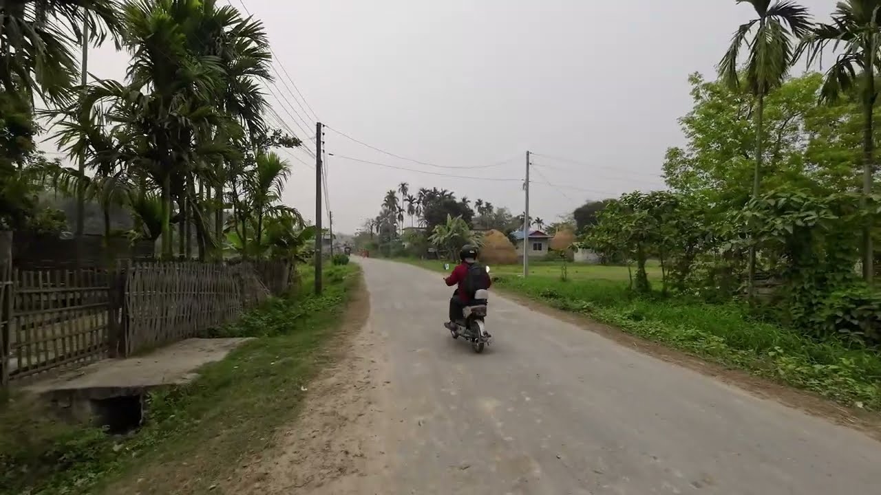 A peaceful walk through a rural road