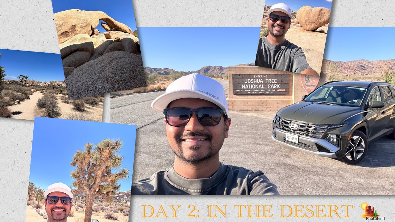 From LA to the Desert 🌵 | Joshua Tree National Park (Day 2)