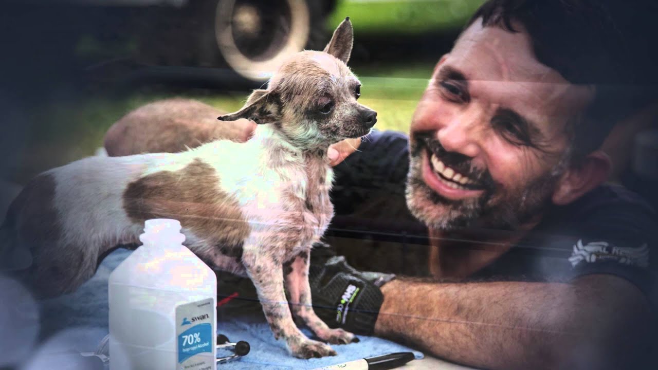 The Gift of Compassion 2015:  Celebrating Five Years of Saving Lives and Inspiring Compassion