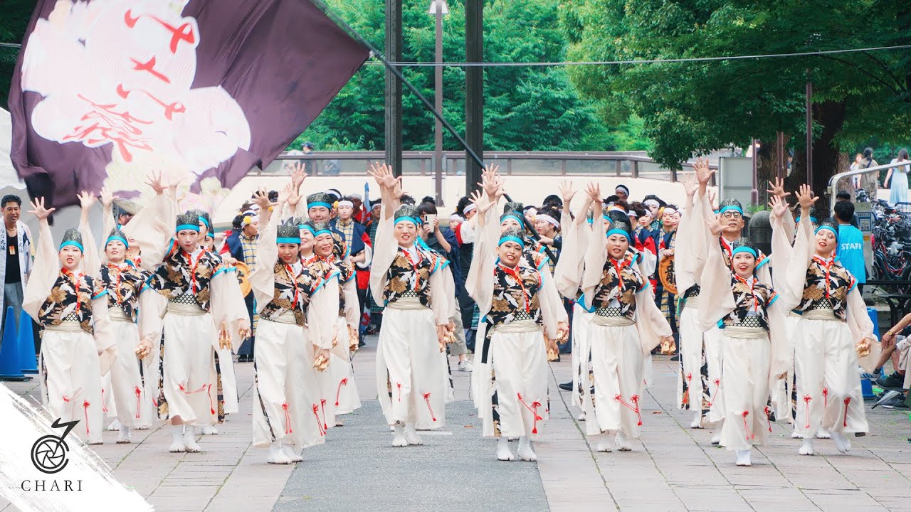 【8K】東京よさこい なな丸隊『晴夜』（よさこい祭りin光が丘公園2024）