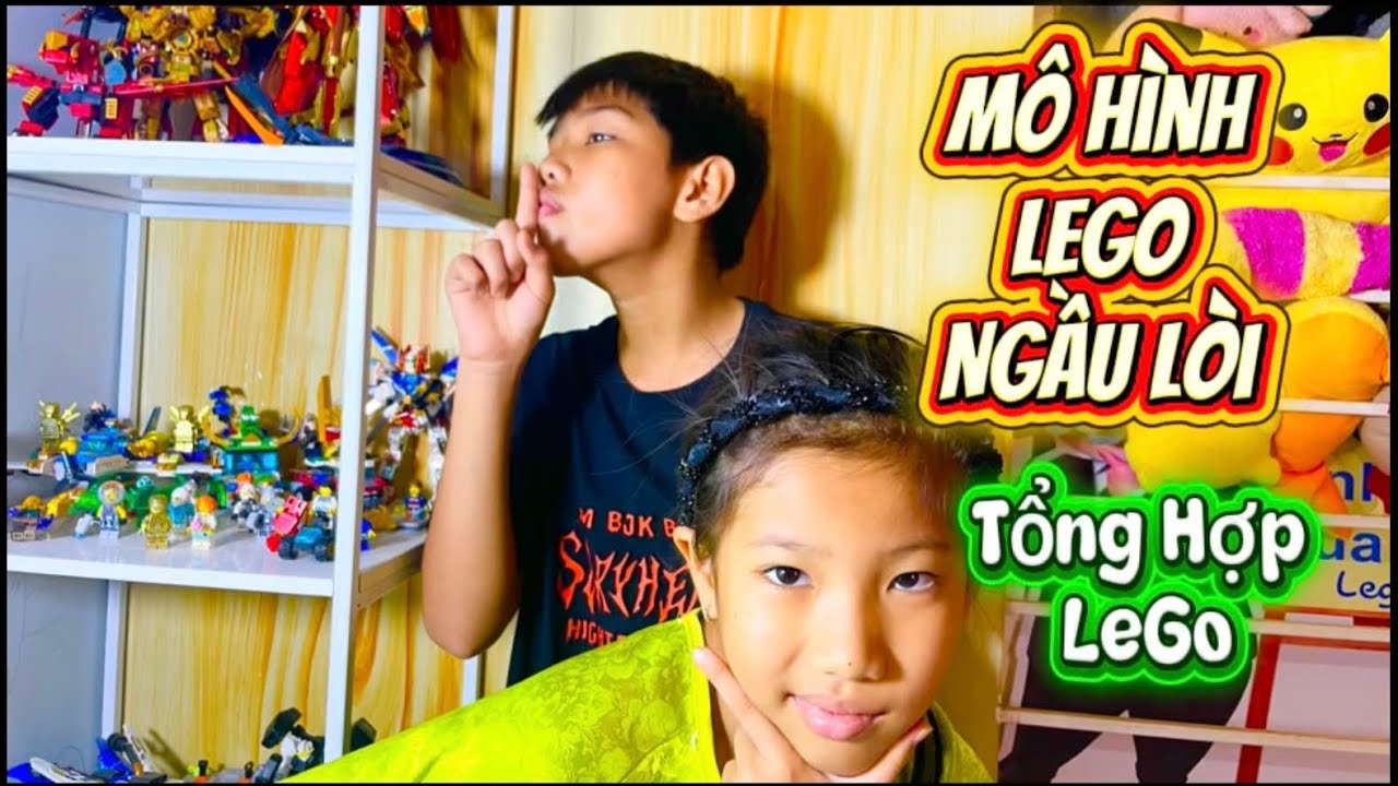 VÃI CHƯỠNG|Review Bộ Sưu Tập LEGO Tại Nhà | Từ Minifig Đến Mô Hình Ngầu Lòi