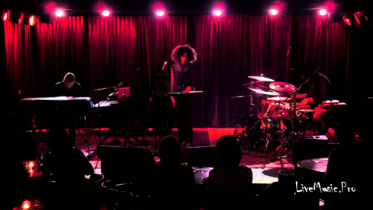 MICHAEL BRAUN ELECTRO 14 03 16