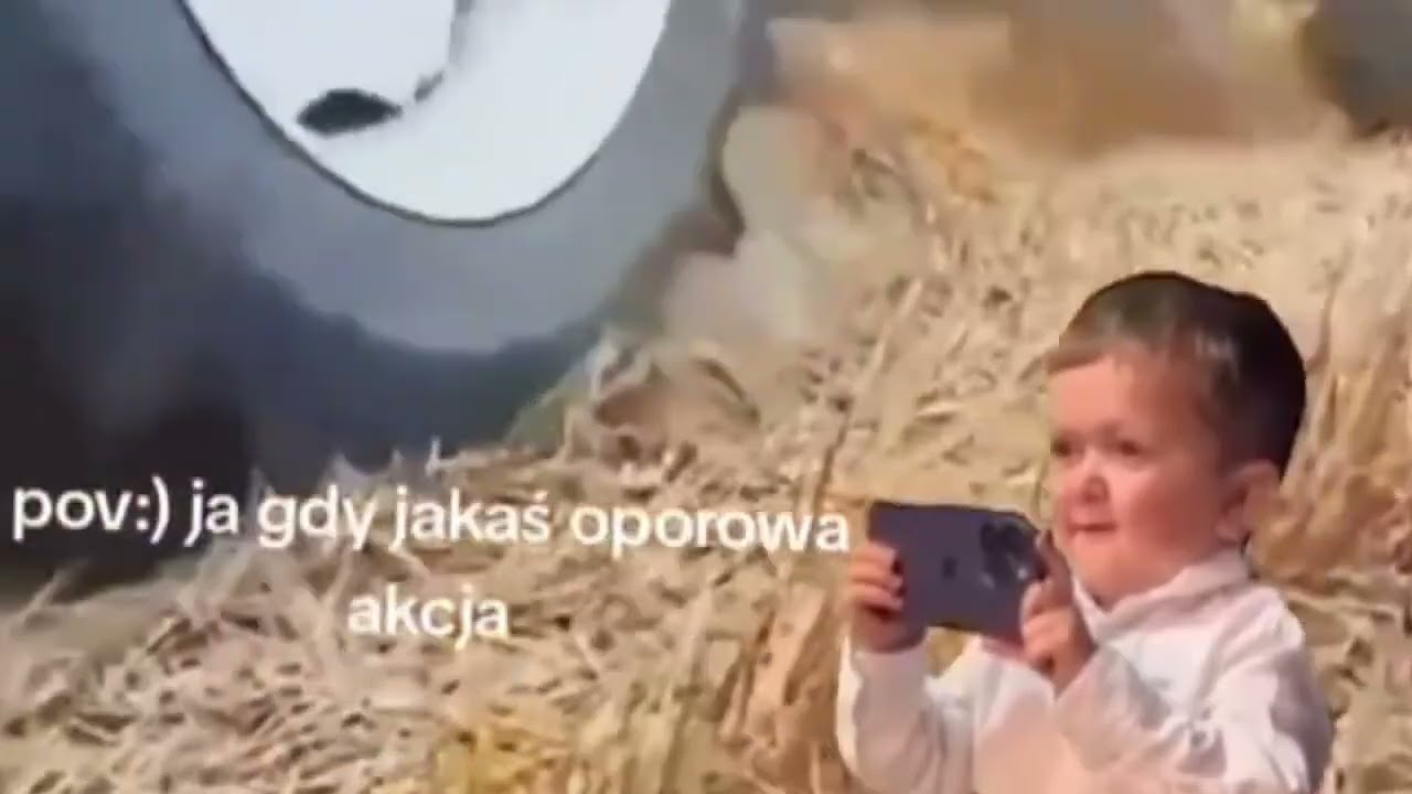 Wspomnienia z lata
