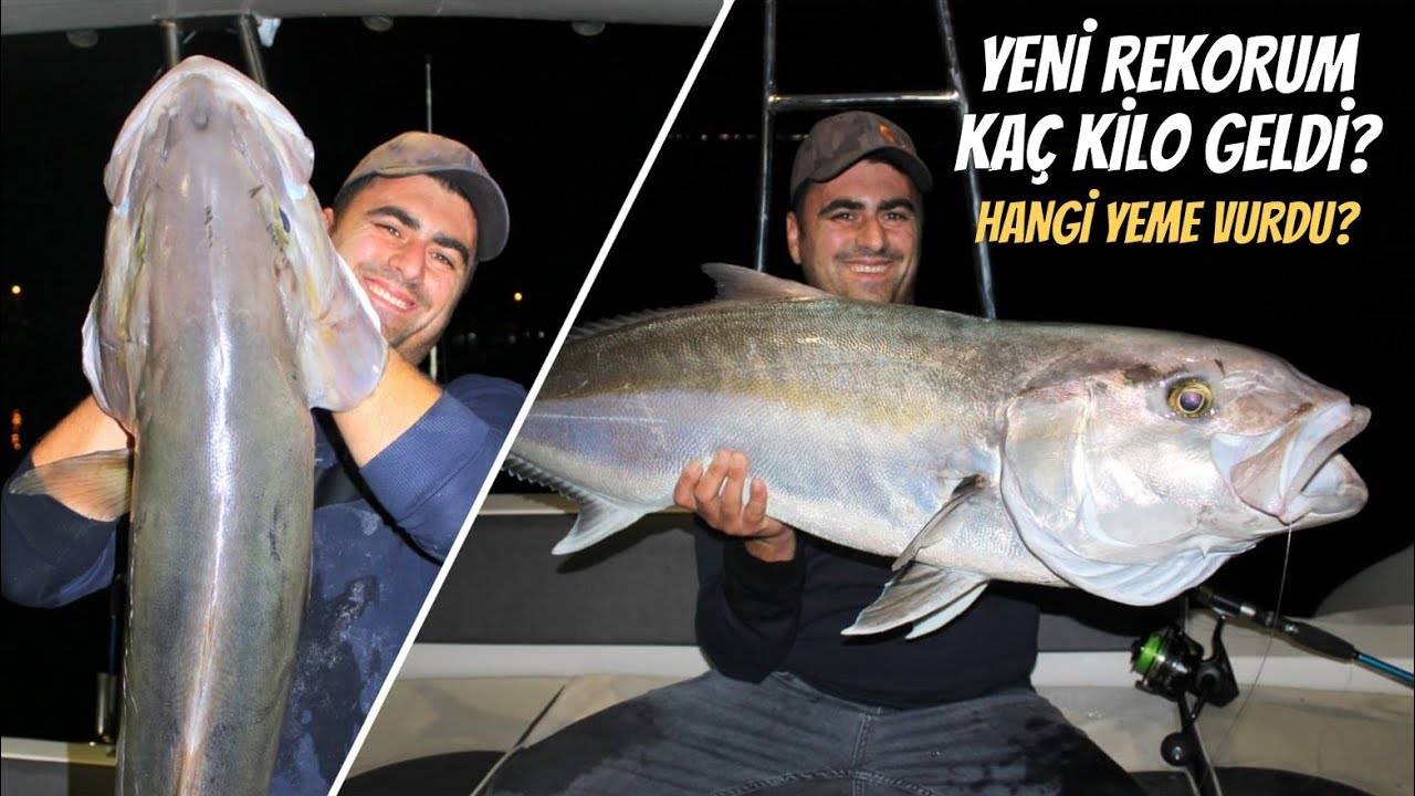 Hayatımın En B&uuml;y&uuml;k Kuzu Balığı !! / Giant Record Size Amberjack