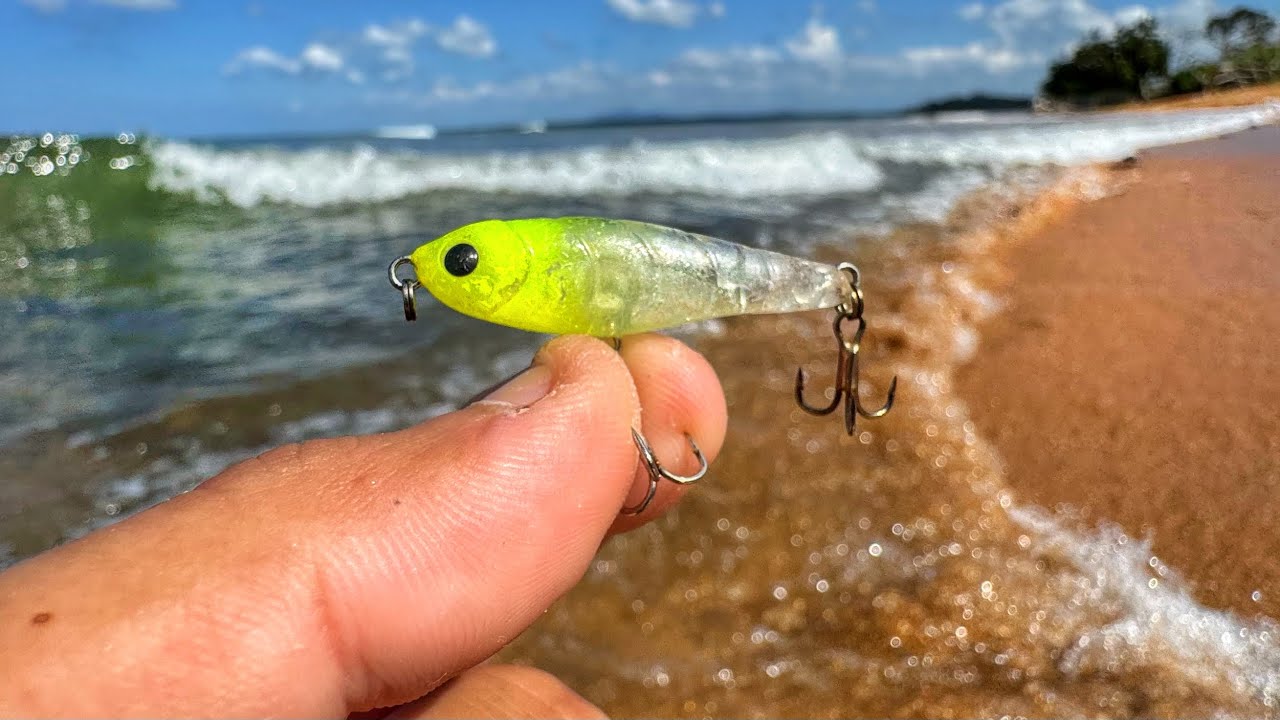 MICRO ISCA ARTIFICIAL NA ESPUMA DAS ONDAS NA BEIRA DA PRAIA!!!