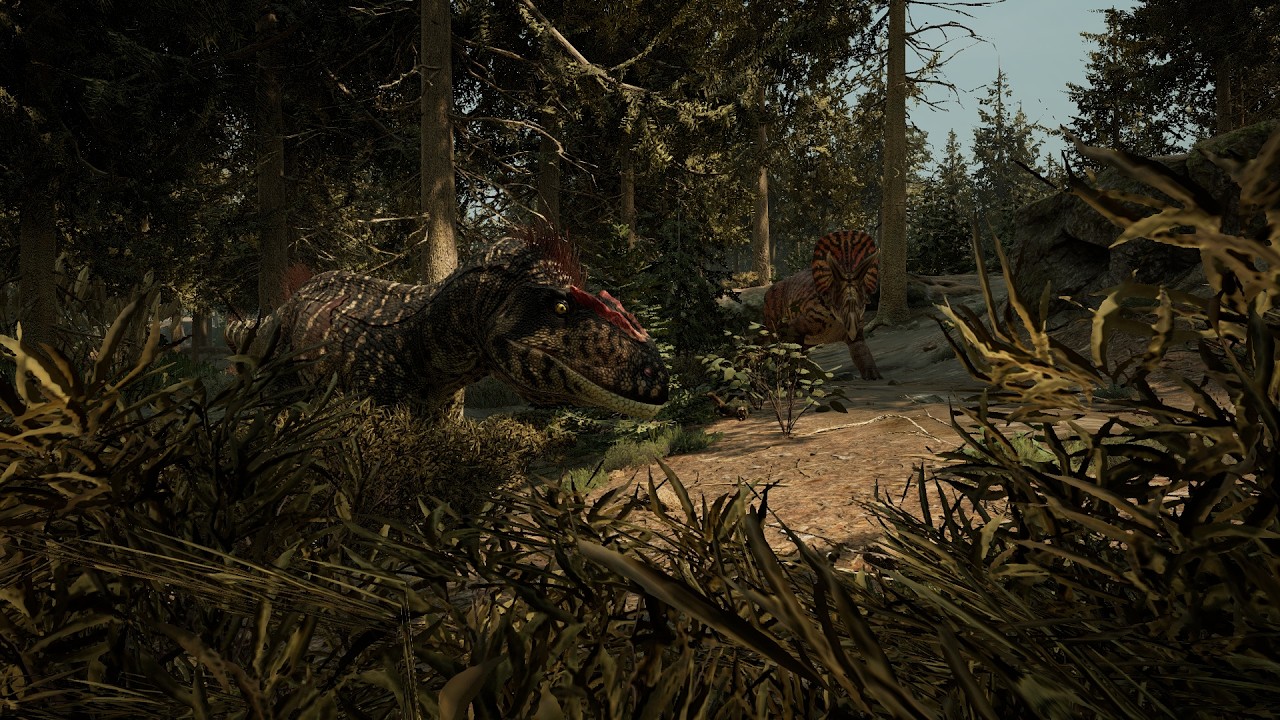 Naprawdę lubię Metri TLC