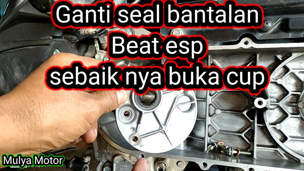 pasang seal kruk as Beat esp