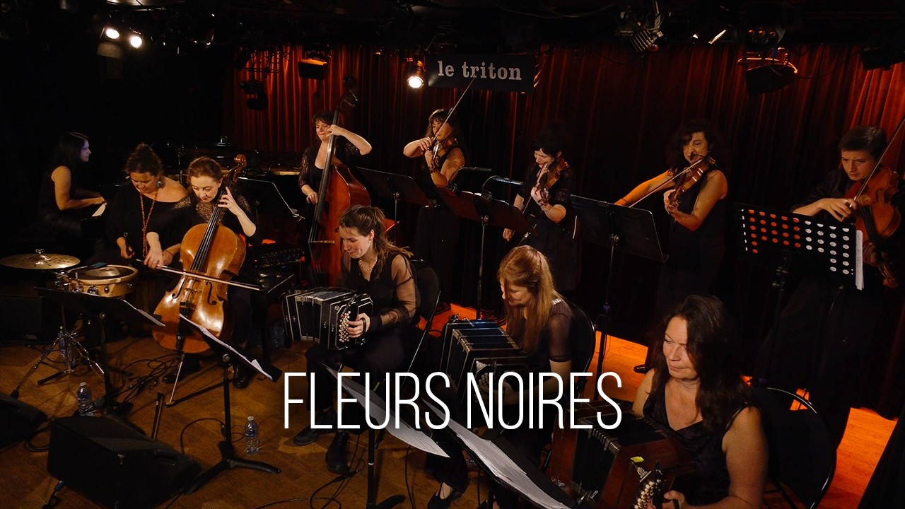 FLEURS NOIRES - TEASER