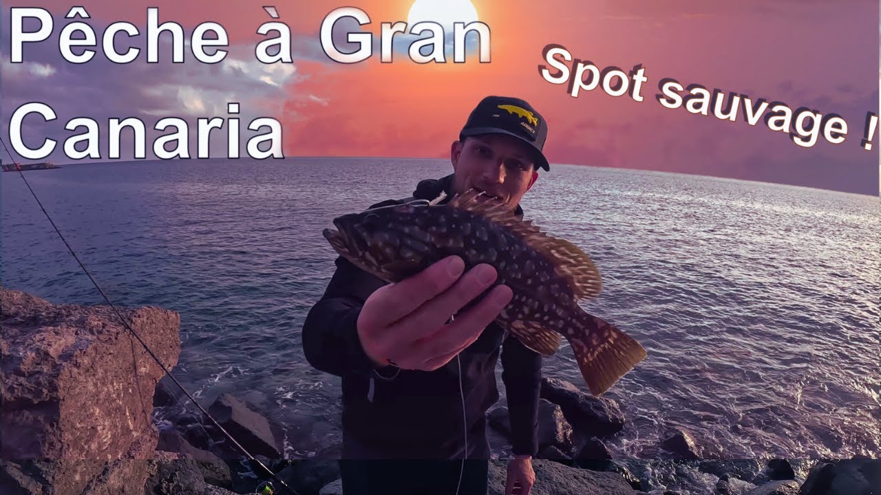 Pêche sur les Îles Canaries dans un SPOT sublime et SAUVAGE !