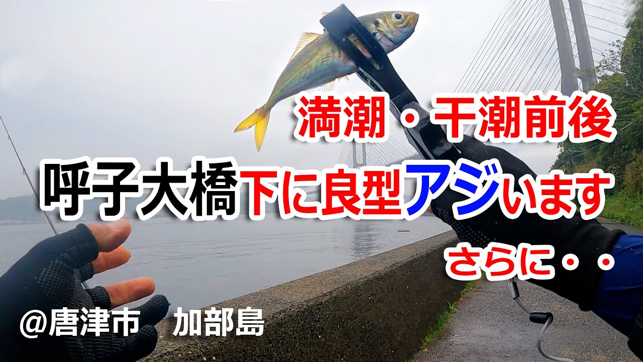 2024年 4月下旬　唐津市 加部島釣行 (動画再UP)