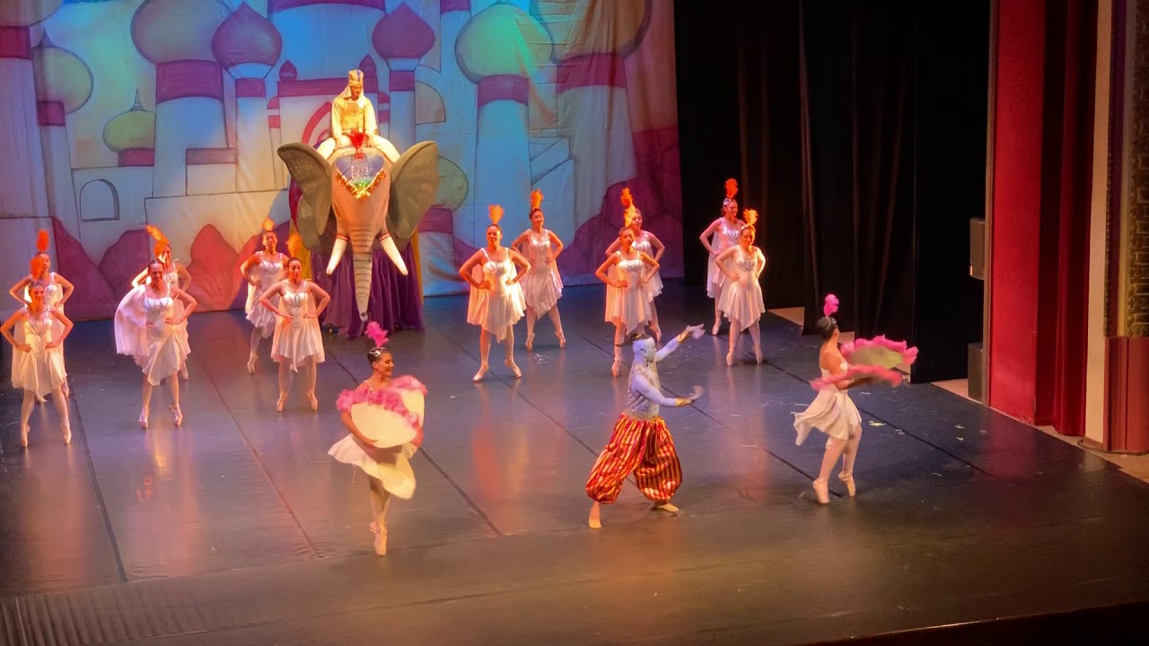 Chegada do Principe Ali | Aladdin e a Lâmpada Maravilhosa | Teatro Amazonas | 2020 | Musical
