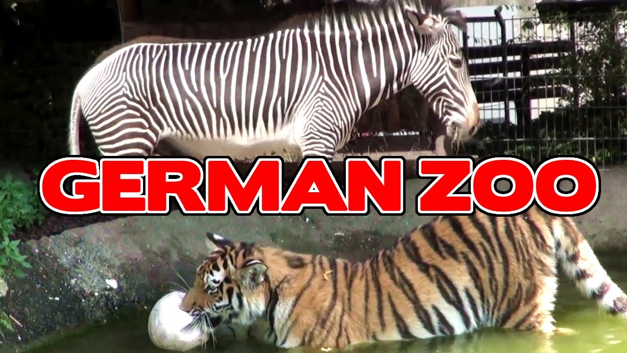ZOO Pt2 - Lost Germany Adventures