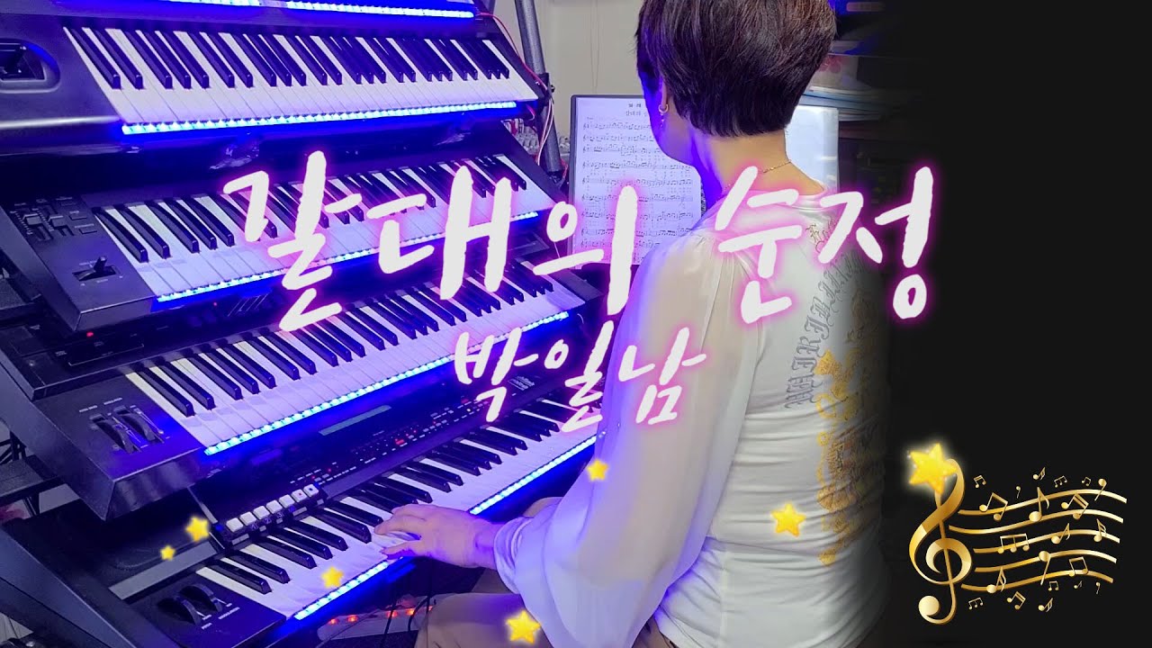 전자올겐/갈대의 순정/박일남