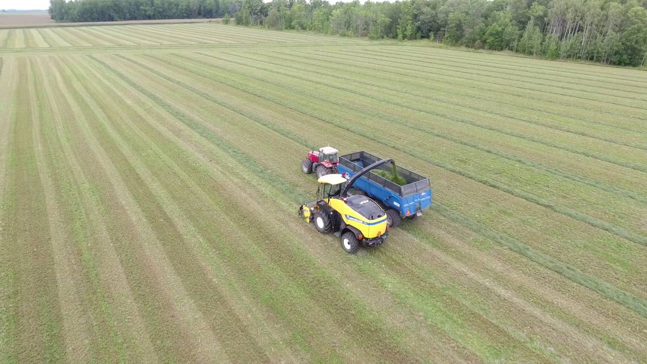 Stoltz Series   Penta DB Trailers
