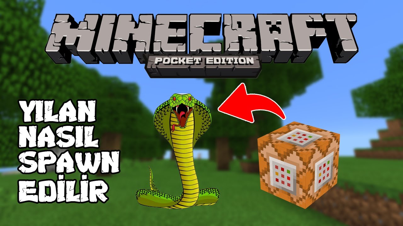 Komut Bloğu İle Yılan Nasıl Spawn Edilir? Minecraft PE