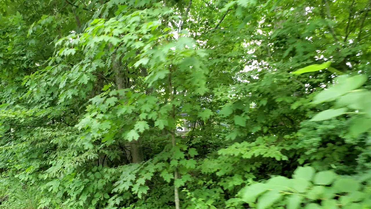 Knoebels Pioneer Miniature Train ride (07/09/2021)