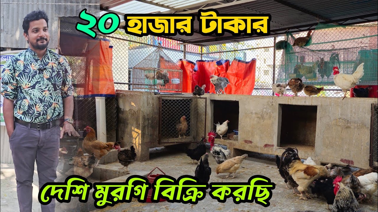 আপনার কথা শুনছি ২০ হাজার টাকার মুরগী বিক্রি করছি