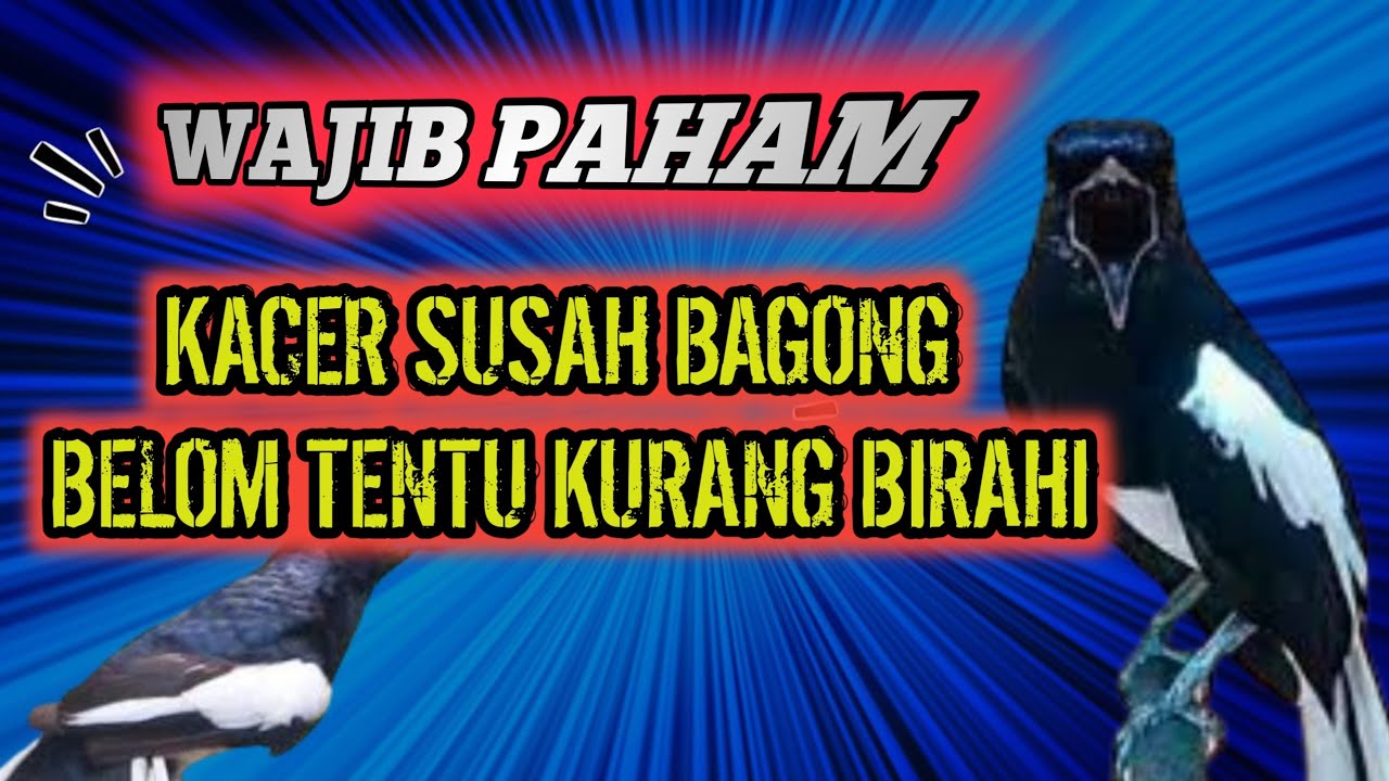 PEMBAHASAN KACER ANTI BAGONG /SUSAH BAGONG