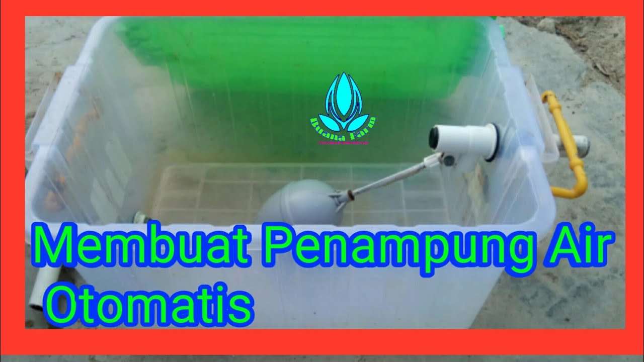 #Ternak Puyuh ( Membuat Tempat Penmpungan Air Minum Otomatis)