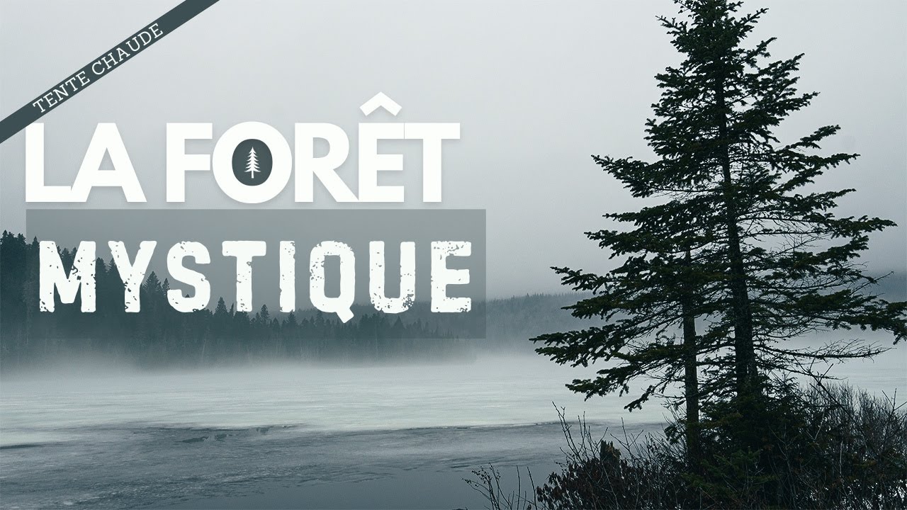 🌲 Bienvenue dans 