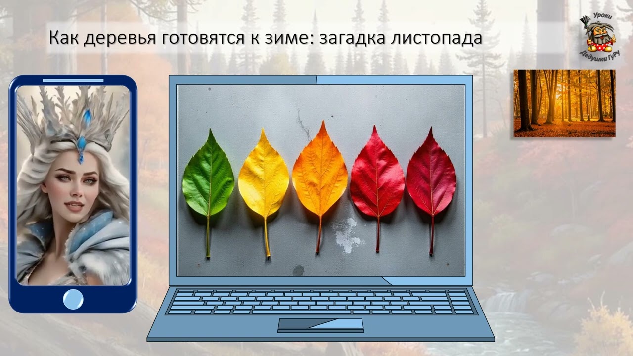 Б6 22 Выделение у растений