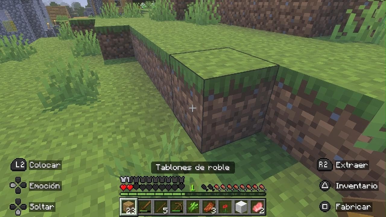 Minecraft_20260201173940