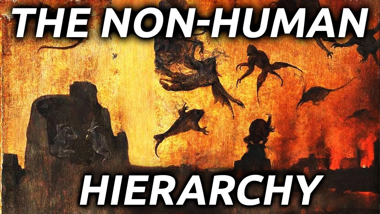 The Non-Human Hierarchy | Doug Van Dorn