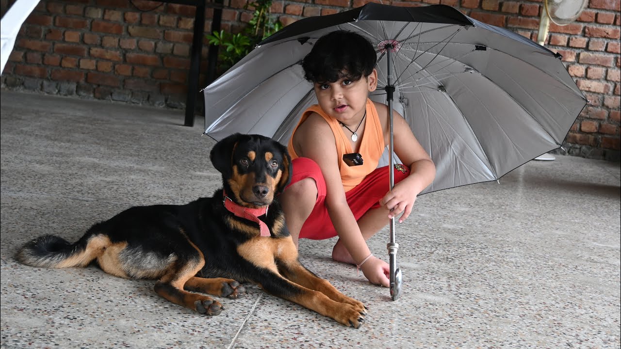 Animals ka dhyaan rakho jaise yeh humara dhyaan rakhte hai