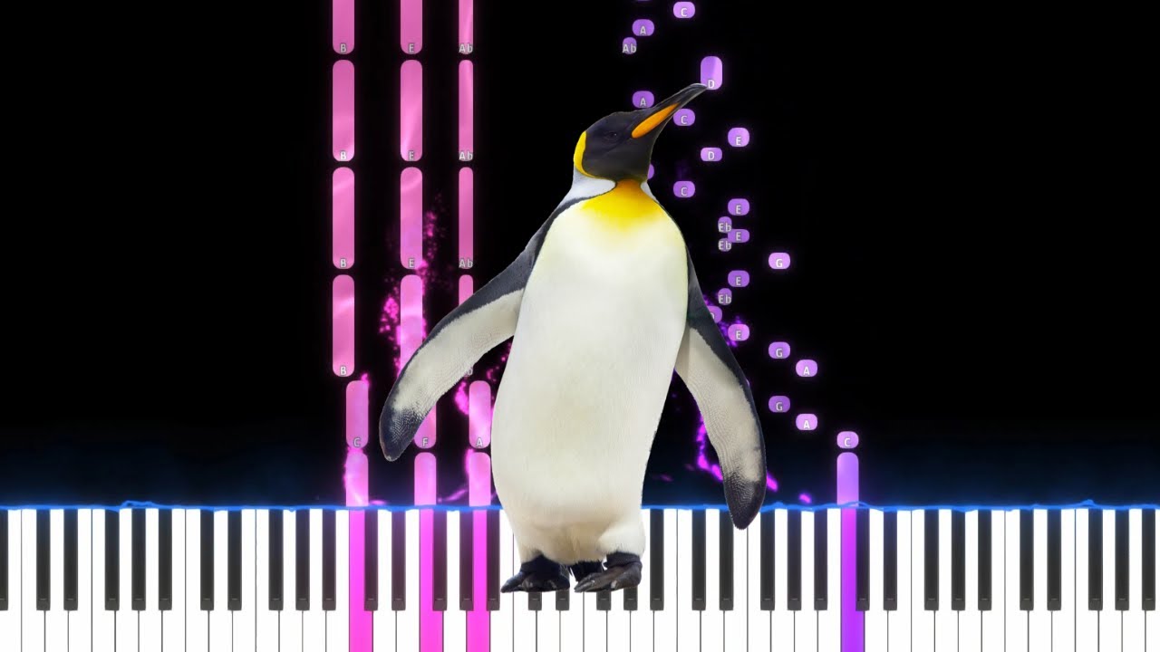 Penguin Mountain Song | Easy Piano Tutorial | Pianist Perspective
