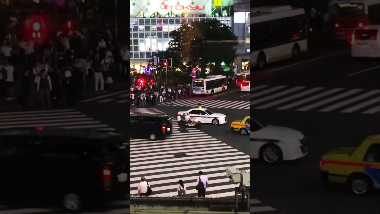 Tokyo street crossing 