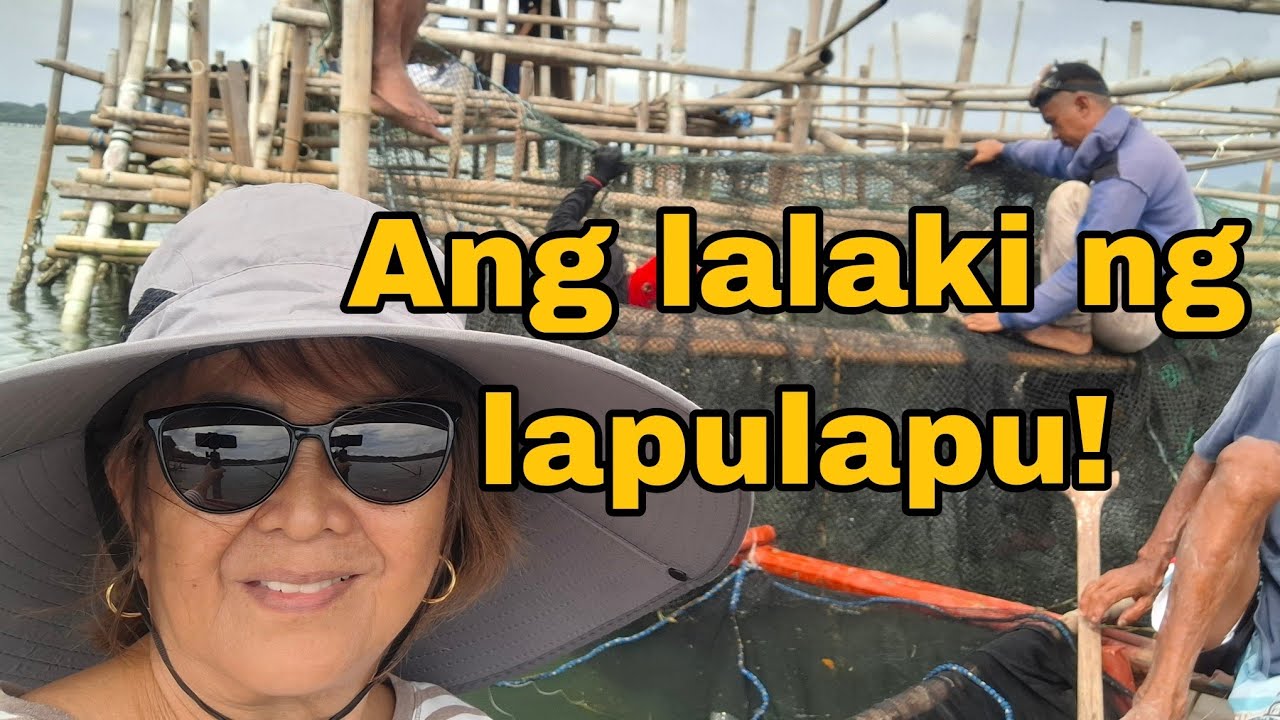 Harvesting lapulapu from our fishpen!